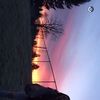 annadodd5